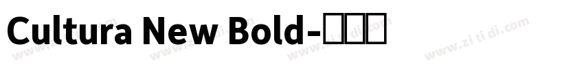 Cultura New Bold字体转换